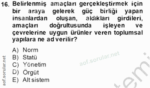 16. soru: Belirlenmiş amaçları gerçekleştirmek için bir araya gelerek güç birliği yapan insanlardan oluşan, aldıkları girdileri…