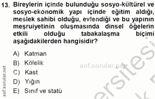13. soru: Bireylerin içinde bulunduğu sosyo-kültürel ve sosyo-ekonomik yapı içinde eğitim aldığı, meslek sahibi olduğu, evlendi…