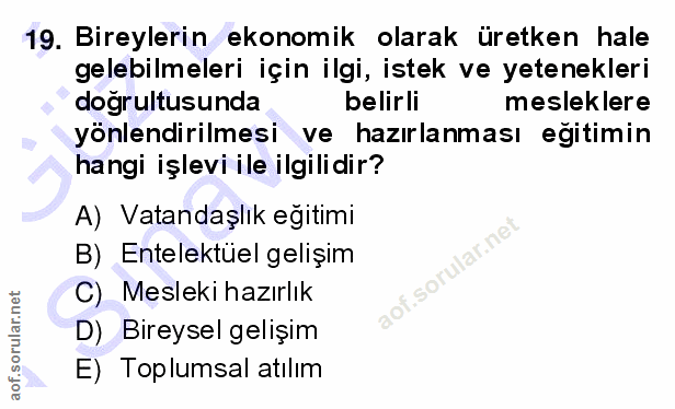 19. soru: Bireylerin ekonomik olarak üretken hale gelebilmeleri için ilgi, istek ve yetenekleri dogrultusunda belirli meslekler…