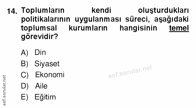 14. soru: Toplumların kendi oluşturdukları politikalarının uygulanması süreci, aşağıdaki toplumsal kurumların hangisinin temel…
