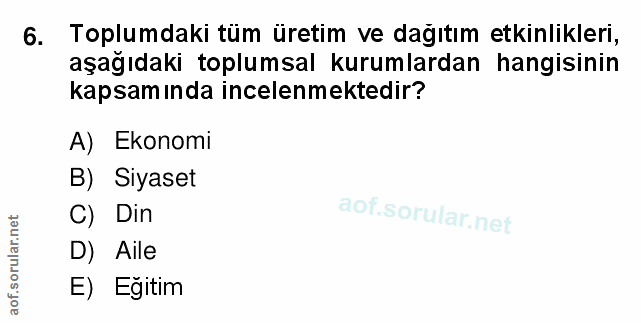 6. soru: Toplumdaki tüm üretim ve dağıtım etkinlikleri, aşağıdaki toplumsal kurumlardan hangisinin kapsam ında incelenmektedir…