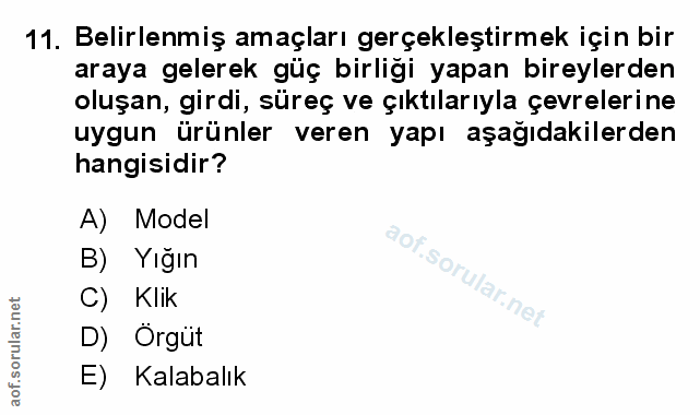 11. soru: Belirlenmiş amaçları gerçekleştirmek için bir araya gelerek güç birliği yapan bireylerden oluşan, girdi, süreç ve çık…