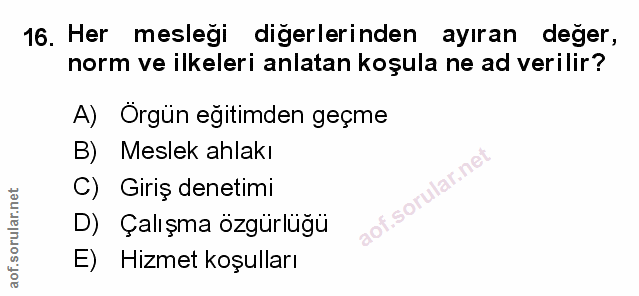 16. soru: Her mesleği diğerlerinden ayıran değer, norm ve ilkeleri anlatan koşula ne ad verilir? A) Örgün eğitimden geçme B) Me…