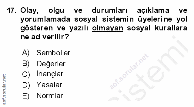 17. soru: Olay, olgu ve durumları açıklama ve yorumlamada sosyal sistemin üyelerine yol gösteren ve yazılı olmayan sosyal kural…