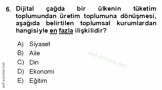 6. soru: Dijital çağda bir ülkenin tuketim toplumundan üretim toplumuna dönüşmesi, aşağıda belirtilen toplumsal kurumlardan ha…