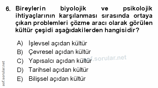 6. soru: Bireylerin biyolojik ve psikolojik ihtiyaçlarının karşılanması sırasında ortaya çıkan problemleri çözme aracı olarak…