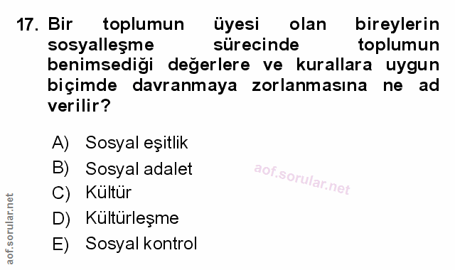17. soru: Bir toplumun uyesi olan bireylerin sosyalleşme sürecinde toplumun benimsediği değerlere ve kurallara uygun biçimde da…
