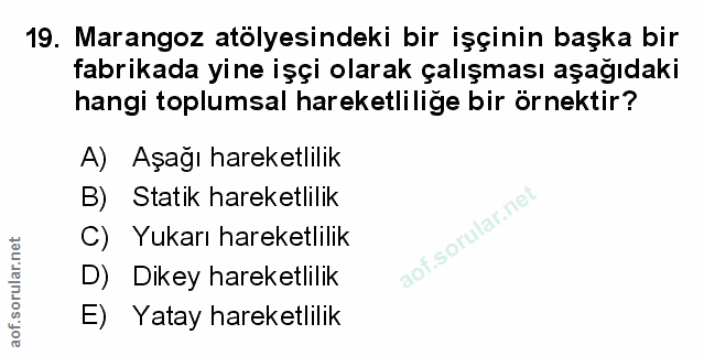 19. soru: Marangoz atölyesindeki bir işçinin başka bir fabrikada yine işçi olarak çalışması aşağıdaki hangi toplumsal hareketli…