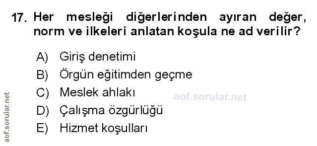 17. soru: Her mesleği diğerlerinden ayıran değer, norm ve ilkeleri anlatan koşula ne ad verilir? A) Giriş denetimi B) Örgün eği…