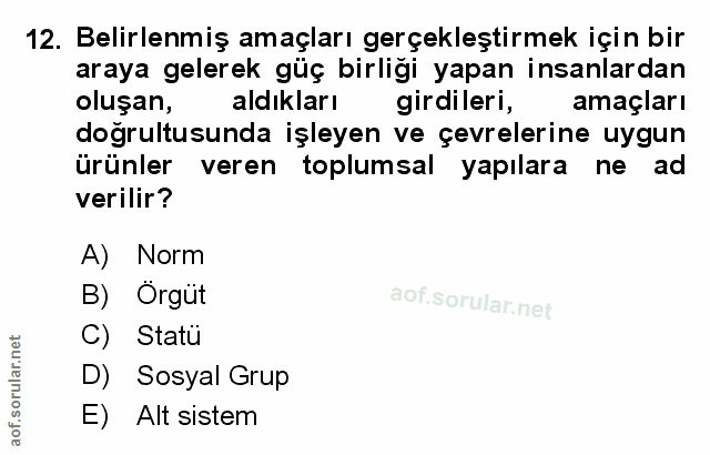 12. soru: Belirlenmiş amaçları gerçekleştirmek için bir araya gelerek güç birliği yapan insanlardan oluşan, aldıkları girdileri…