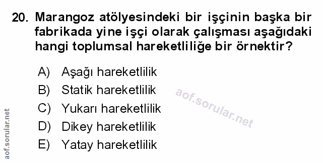 20. soru: Marangoz atölyesindeki bir işçinin başka bir fabrikada yine işçi olarak çalışması aşağıdaki hangi toplumsal hareketli…