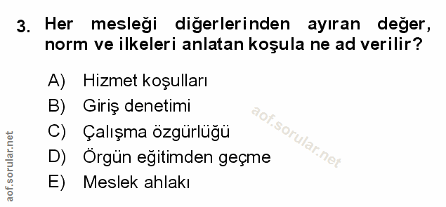 3. soru: Her mesleği digerlerinden ayıran deger, norm ve ilkeleri anlatan koşula ne ad verilir? A) Hizmet koşulları B) Giriş d…