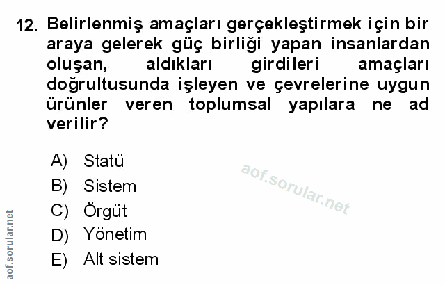 12. soru: Belirlenmiş amaçları gerçekleştirmek için bir araya gelerek güç birliği yapan insanlardan oluşan, aldıkları girdileri…