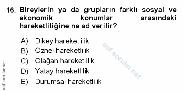 16. soru: Bireylerin ya da grupların farklı sosyal ve ekonomik konumlar arasındaki hareketliliğine ne ad verilir? A) Dikey hare…