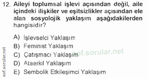 12. soru: Aileyi toplumsal işlevi açısından değil, aile içindeki ilişkiler ve eşitsizlikler açısından ele alan sosyolojik yakla…