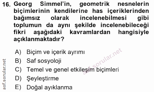 16. soru: Georg immel'in, geometrik nesnelerin biçimlerinin kendilerine has içeriklerinden bağımsız olarak incelenebilmesi gibi…