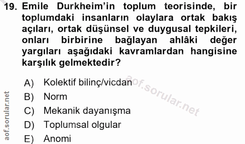 19. soru: Emile Durkheim'in toplum teorisinde, bir toplumdaki insanların olaylara ortak bakış açıları, ortak düşünsel ve duygus…