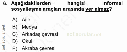 6. soru: Aşağıdakilerden hangisi informel sosyalleşme araçları arasında yer almaz? A) Aile B) Medya C) Arkadaş çevresi D) Okul…