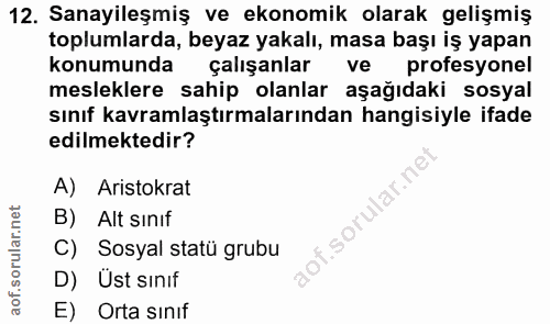 12. soru: Sanayileşmiş ve ekonomik olarak gelişmiş toplumlarda, beyaz yakalı, masa başı iş yapan konumunda çalışanlar ve profes…