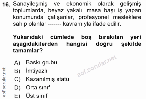 16. soru: Sanayileşmiş ve ekonomik olarak gelişmiş toplumlarda, beyaz yakalı, masa başı iş yapan konumunda çalışanlar, profesyo…