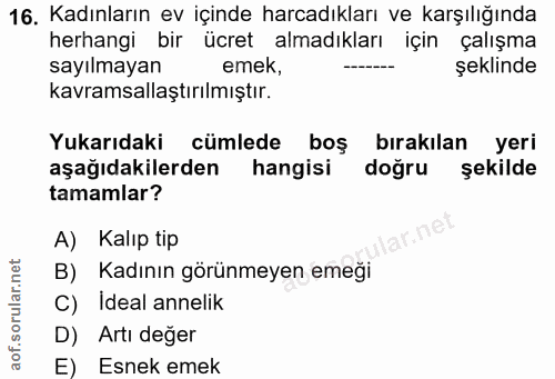 16. soru: Kadınların ev içinde harcadıkları ve karşılığında herhangi bir ücret almadıkları için çalışma sayılmayan emek, şeklin…