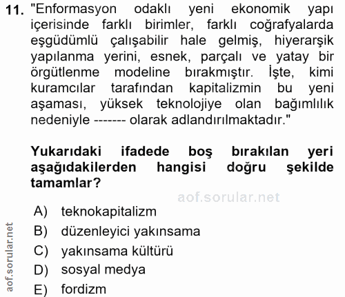 11. soru: "Enformasyon odaklı yeni ekonomık yapı içerisinde farklı birimler, farklı coğrafyalarda eşgüdümlü çalışabilir hale ge…