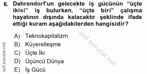 6. soru: Dahrendorf'un gelecekte iş gücünün "üçte ikisi" iş bulurken, "üçte biri" çalışma hayatının dışında kalacaktır şeklind…