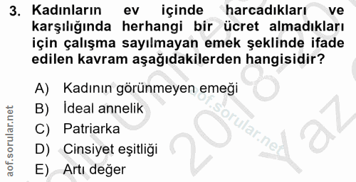 3. soru: Kadınların ev içinde harcadıkları ve karşılığında herhangi bir ücret almadıkları için çalışma sayılmayan emek şeklind…