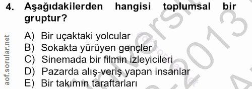 4. soru: Aşağıdakilerden hangisi toplumsal bir gruptur? A) Bir uçaktaki yolcular B) Sokakta yürüyen gençler C) Sinemada bir fi…