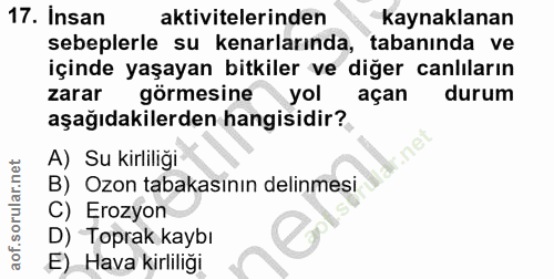 17. soru: İnsan aktivitelerinden kaynaklanan sebeplerle su kenarlarında, tabanında ve içinde yaşayan bitkiler ve diğer canlılar…
