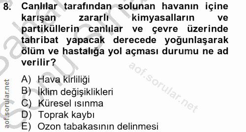 8. soru: Canlılar tarafından solunan havanın içine karışan zararlı kimyasalların ve partiküllerin canlılar ve çevre üzerinde t…