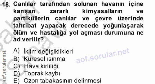 18. soru: Canlılar tarafından solunan havanın içine karışan zararli kimyasalların ve partiküllerin canlılar ve çevre üzerinde t…