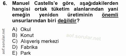 6. soru: Manuel Castells'e göre, aşağıdakilerden hangisi ortak tüketim alanlarından yani emeğin yeniden üretiminin önemli unsu…