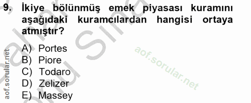 9. soru: İkiye bölünmüş emek piyasası kuramını aşağıdaki kuramcılardan hangisi ortaya atmıştır? A) Portes B) Piore C) Todaro D…
