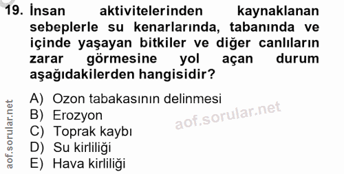19. soru: Insan aktivitelerinden kaynaklanan sebeplerle su kenarlarında, tabanında ve içinde yaşayan bitkiler ve diğer canlılar…