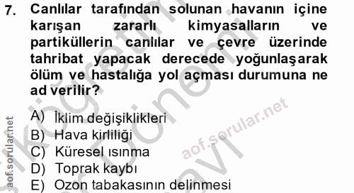7. soru: Canlilar tarafından solunan havanın içine karışan zararlı kimyasalların ve partiküllerin canlılar ve çevre üzerinde t…