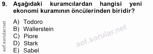 9. soru: Aşağıdaki kuramcılardan hangisi yeni ekonomi kuramının öncülerinden biridir? A) Todoro B) Wallerstein C) Piore D) Sta…