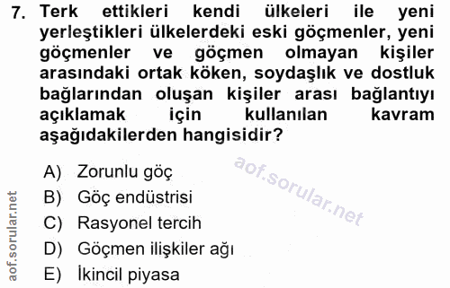 7. soru: Terk ettikleri kendi ülkeleri ile yeni yerleştikleri ülkelerdeki eski göçmenler, yeni göçmenler ve göçmen olmayan kiş…