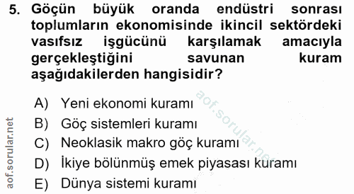 5. soru: Göçün büyük oranda endüstri sonrası toplumların ekonomisinde ikincil sektördeki vasıfsız işgücünü karşılamak amacıyla…