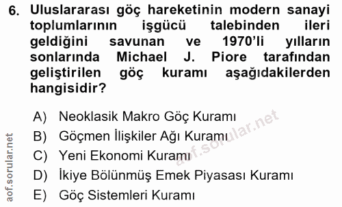 6. soru: Uluslararası göç hareketinin modern sanayi toplumlarının işgücü talebinden ileri geldiğini savunan ve 1970'li yılları…