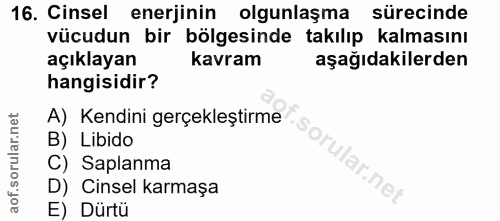 16. soru: Cinsel enerjinin olgunlaşma sürecinde vücudun bir bölgesinde takılıp kalmasını açıklayan kavram aşağıdakilerden hangi…