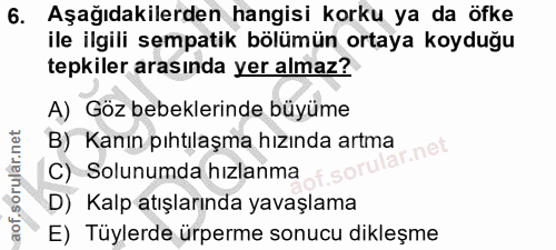 6. soru: Aşağıdakilerden hangisi korku ya da öfke ile ilgili sempatik bölümün ortaya koyduğu tepkiler arasında yer almaz? A) G…