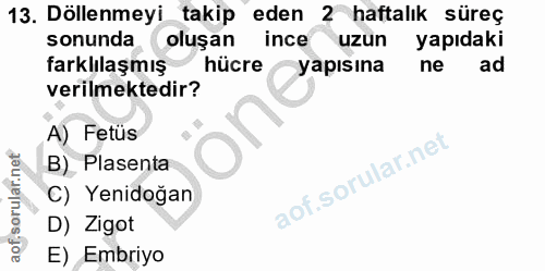 13. soru: Döllenmeyi takip eden 2 haftalık süreç sonunda oluşan ince uzun yapıdaki farklılaşmış hücre yapısına ne ad verilmekte…