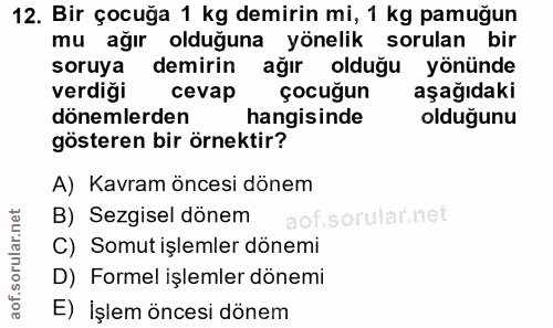 12. soru: Bir çocuğa 1 kg demirin mi, 1 kg pamuğun mu ağır olduğuna yönelik sorulan bir soruya demirin ağır olduğu yönünde verd…