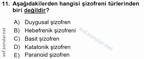 11. soru: Aşağıdakilerden hangisi şizofreni türlerinden biri değildir? A) Duygusal şizofren B) Hebefrenik şizofreni C) Basit şi…