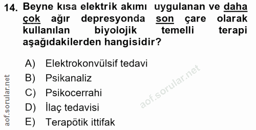 14. soru: Beyne kısa elektrik akımı uygulanan ve daha çok ağır depresyonda son çare olarak kullanılan biyolojik temelli terapi…