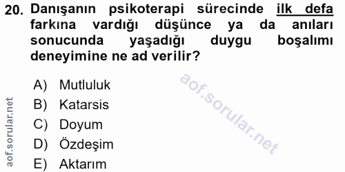 20. soru: Danışanın psikoterapi sürecinde ilk defa farkına vardığı düşünce ya da anıları sonucunda yaşadığı duygu boşalımı dene…