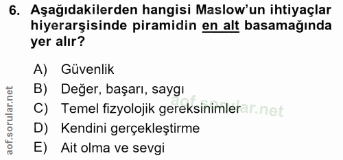 6. soru: Aşağıdakilerden hangisi Maslow'un ihtiyaçlar hiyerarşisinde piramidin en alt basamağında yer alır? A) Güvenlik B) Değ…
