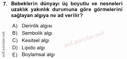7. soru: Bebeklerin dünyayı üç boyutlu ve nesneleri uzaklık yakınlık durumuna göre görmelerini sağlayan algıya ne ad verilir?…