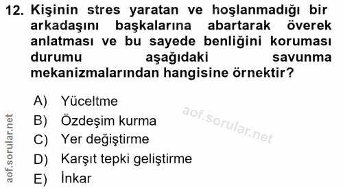 12. soru: Kişinin stres yaratan ve hoşlanmadığı bir arkadaşını başkalarına abartarak överek anlatması ve bu sayede benliğini ko…
